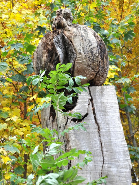 Skulptur af Ole Barslund p Skovbakken ©DitRanders